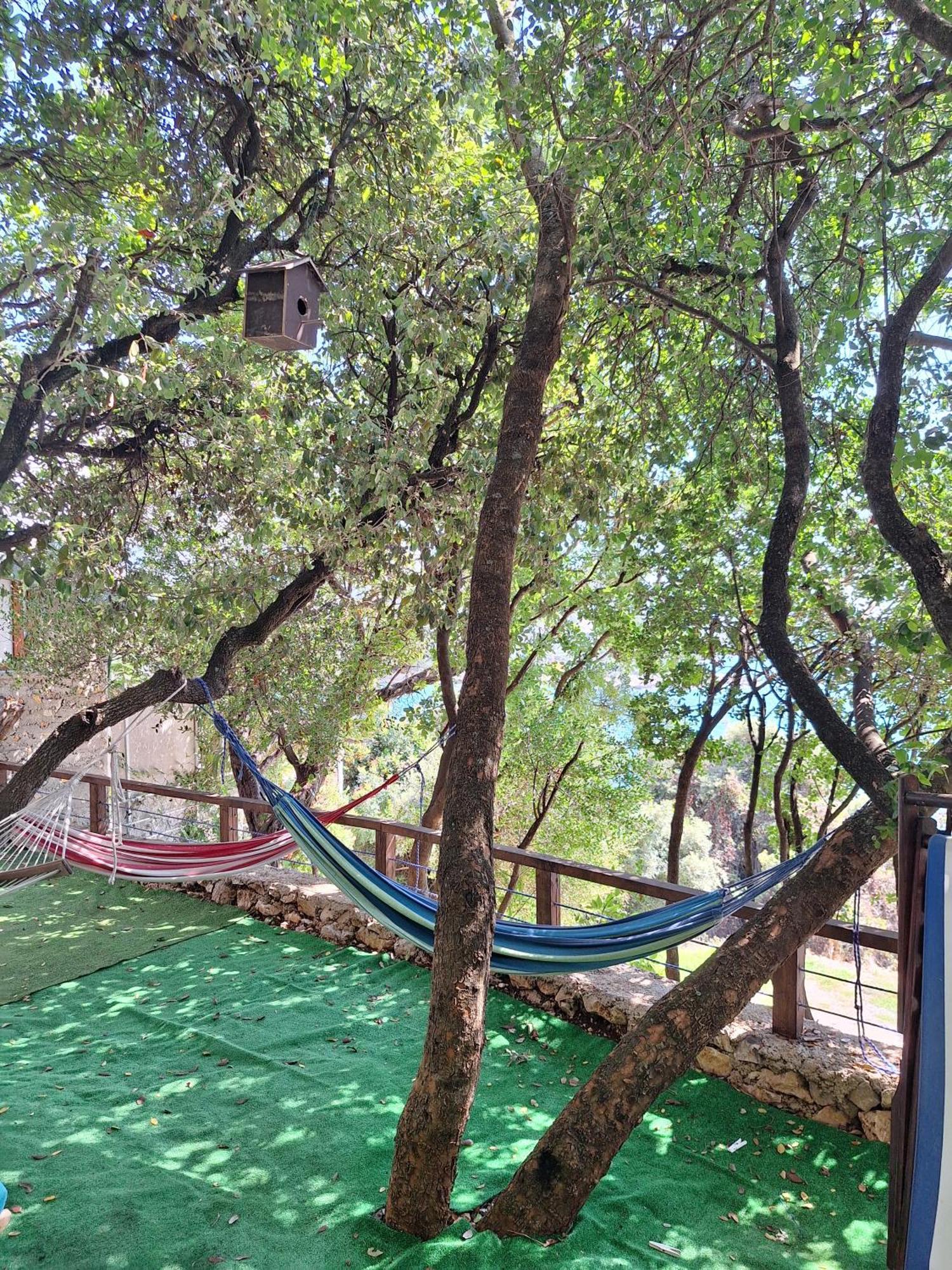 Sunnyday House Βίλα Masline Εξωτερικό φωτογραφία