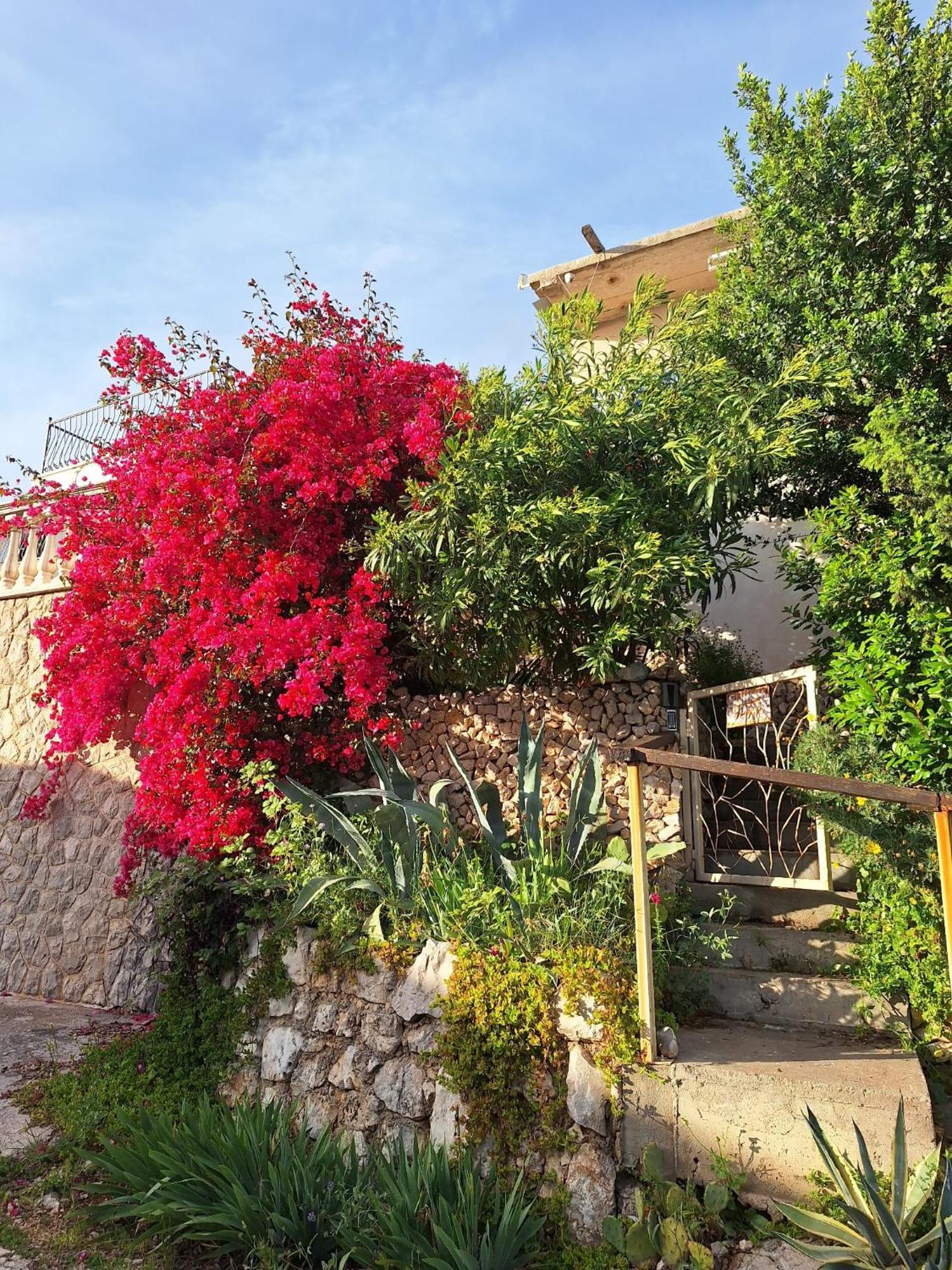 Sunnyday House Βίλα Masline Εξωτερικό φωτογραφία